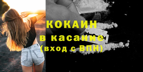 сатива Бронницы