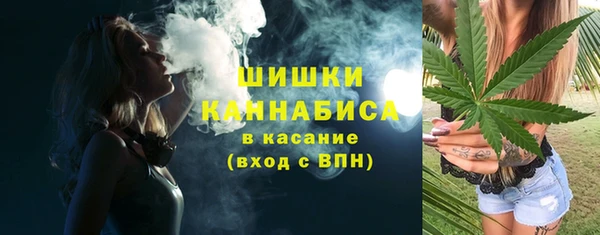 сатива Бронницы