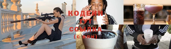 сатива Бронницы