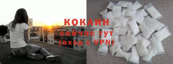 сатива Бронницы