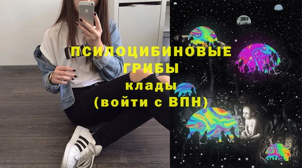 сатива Бронницы