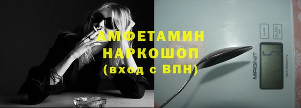 сатива Бронницы