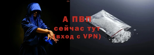 сатива Бронницы