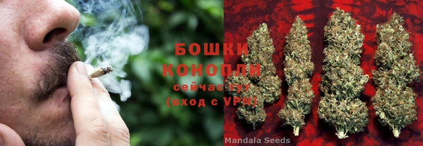 мяу мяу мука Бородино